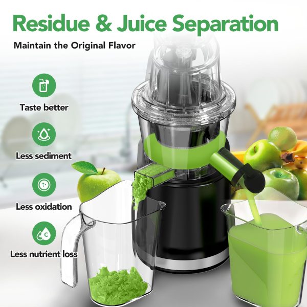 Aeitto Portable Masticating Nutrient Vegetables - Image 5