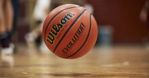 Wilson Evolution Official Game Basketball 29.5 - Image 2