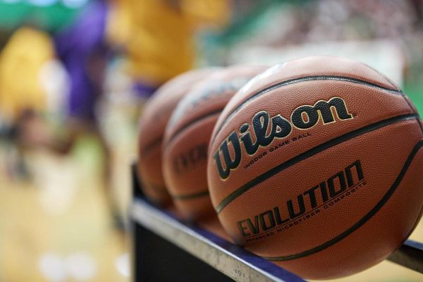 Wilson Evolution Official Game Basketball 29.5 - Image 10