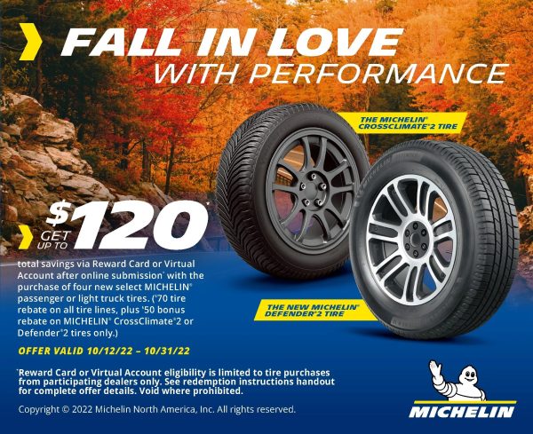 Michelin LTX M/S2 265/70R17 121 R Tire Fits: 2017 Chevrolet Silverado 1500 WT, 2014-15 Chevrolet Silverado 1500 WT - Image 2
