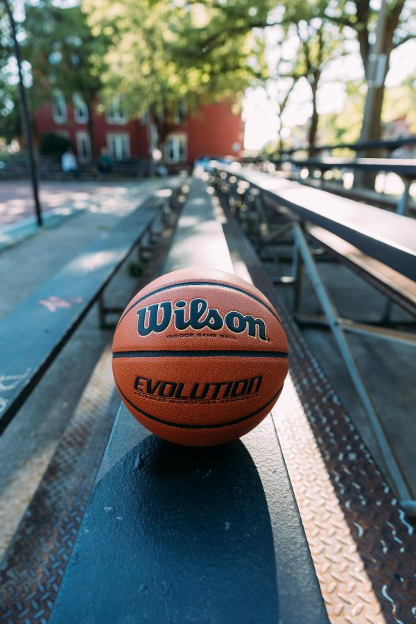 Wilson Evolution Official Game Basketball 29.5 - Image 8