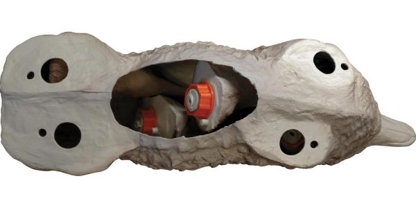 Flambeau Outdoors 5985MS-1 Lone Howler Coyote Decoy - Image 3