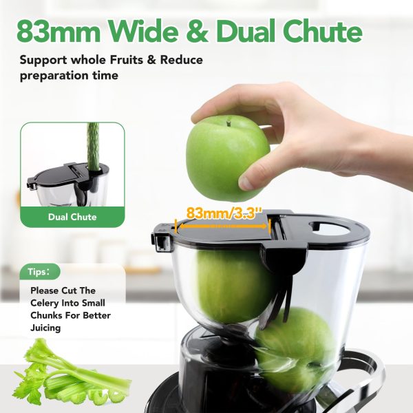 Aeitto Portable Masticating Nutrient Vegetables - Image 2