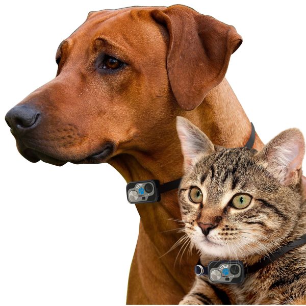 Power Pet Large Electronic Pet Door PX-2 - Image 4
