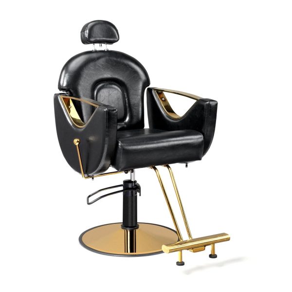 OmySalon Hair Salon Chair Barber Chair Heavy Duty, Footrest with Extra Supports, Salon Chair for Hair Stylist, Reclining Hair Chair for Braiding Shampoo Facial Waxing Esthetics Beauty Spa - Image 8